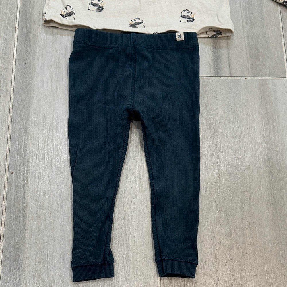 Zara 12-18M Cream Panda Print Top and Teal Ribbed Leggings Pants - Picture 5 of 11